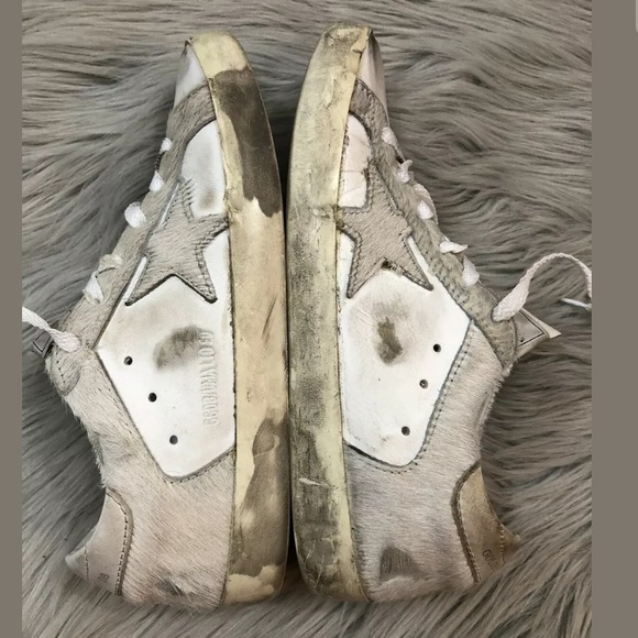 Golden goose - Picture 6 of 8